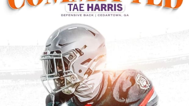 Tae Harris
